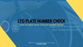 Complete guide on how to check LTO checking plate verification online