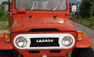 Toyota Land Cruiser 1974 for sale