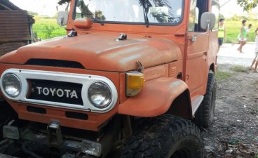 1975 Toyota Land Cruiser for sale