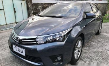 Selling Gray Toyota Corolla Altis 2016 in Parañaque