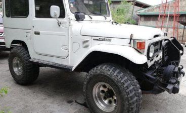 2nd Hand Toyota Land Cruiser 1976 at 110000 km for sale in Malabon