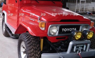 1979 Toyota Fj Cruiser for sale in Manila