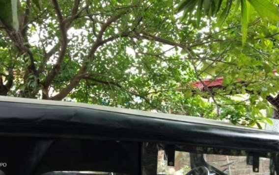 Toyota Owner type jeep (FPJ) for sale-7