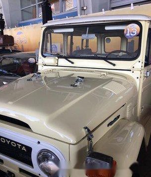 Toyota Land Cruiser 1975 for sale-5