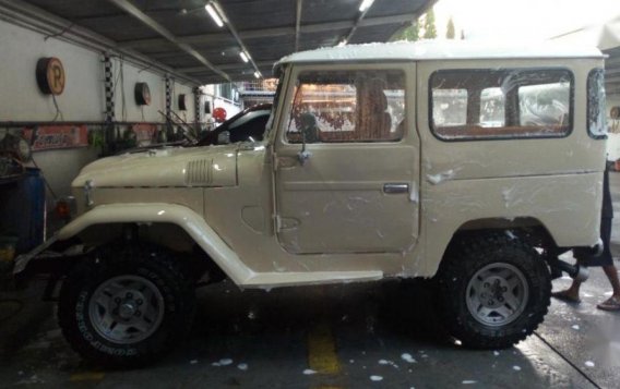 Selling 2nd Hand (Used) Toyota Land Cruiser in Taytay-2