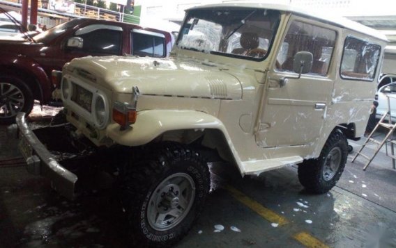 Selling 2nd Hand (Used) Toyota Land Cruiser in Taytay-1