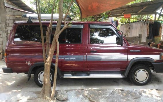 2nd Hand Toyota Tamaraw 1994 for sale in Balagtas-2