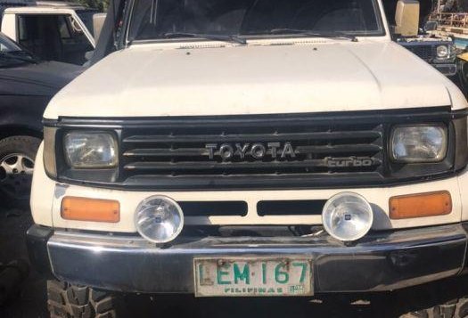 2nd Hand Toyota Land Cruiser for sale in Tacloban-1