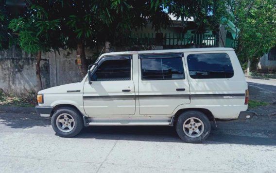 2nd Hand Toyota Tamaraw 2009 Manual Diesel for sale in Naga-5