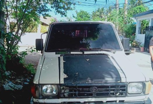 2nd Hand Toyota Tamaraw 2009 Manual Diesel for sale in Naga-4