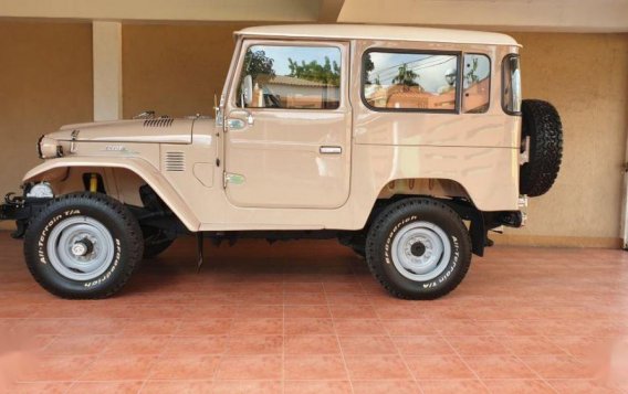 1978 Toyota Land Cruiser for sale in Dumaguete