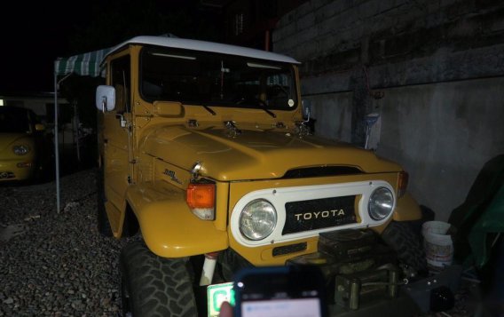 Used Toyota Land Cruiser 1982 for sale in Marilao