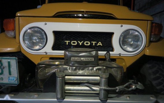 Used Toyota Land Cruiser 1982 for sale in Marilao-6