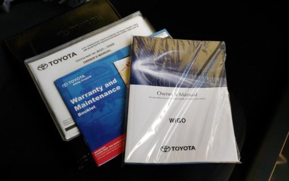 Selling Toyota Wigo 2019 Manual Gasoline in Parañaque-8