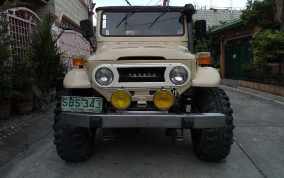 1973 Toyota Land Cruiser for sale in Taytay -1
