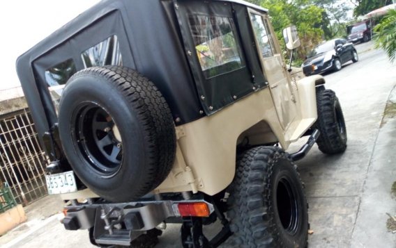 1973 Toyota Land Cruiser for sale in Taytay -7
