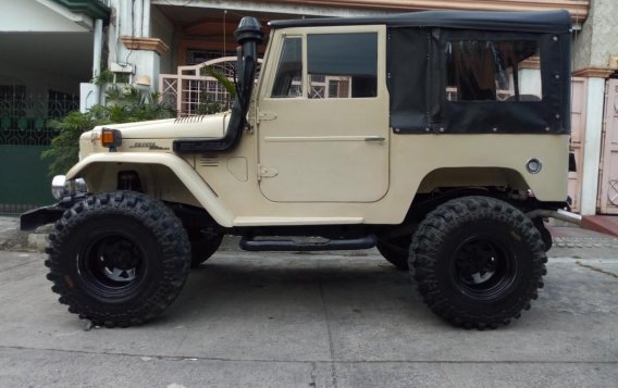 1973 Toyota Land Cruiser for sale in Taytay -4