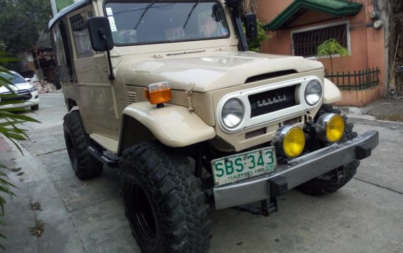 1973 Toyota Land Cruiser for sale in Taytay -3