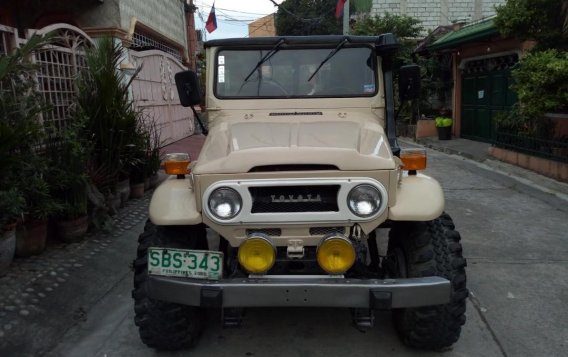 1973 Toyota Land Cruiser for sale in Taytay -2