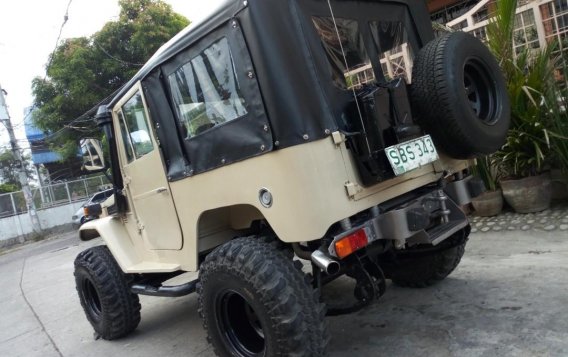 1973 Toyota Land Cruiser for sale in Taytay -5