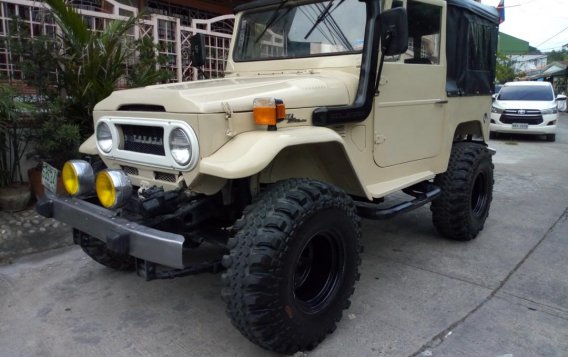 1973 Toyota Land Cruiser for sale in Taytay 