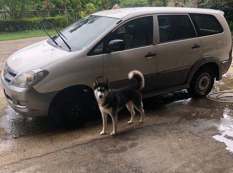 2007 Toyota Innova for sale in Mandaue -1