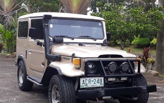 1975 Toyota Land Cruiser for sale in Silang