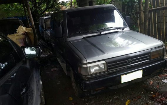 Toyota Tamaraw 1995 for sale in Dasol-1