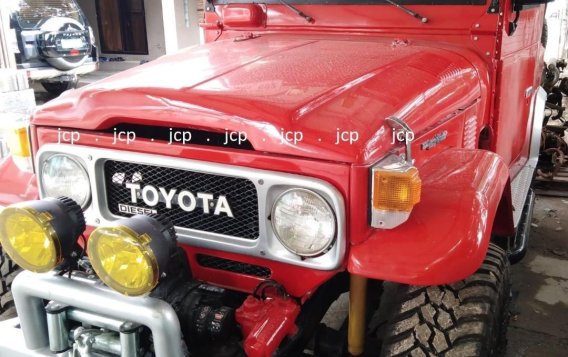 1979 Toyota Fj Cruiser for sale in Manila