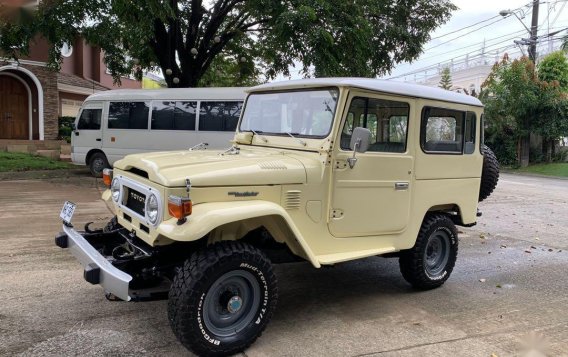 Sell 1977 Toyota Land Cruiser in Quezon City