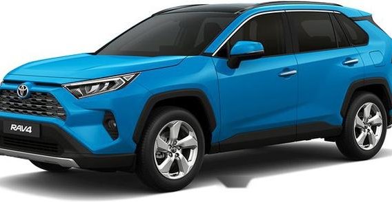 Sell 2020 Toyota Rav4 in Puerto Princesa-2