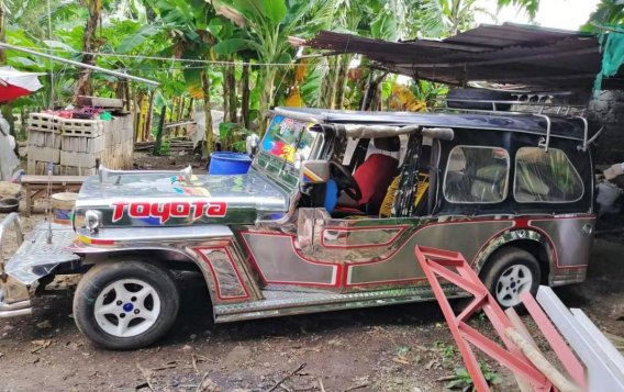 Silver Toyota Owner-Type-Jeep 1994 for sale in Manila-2