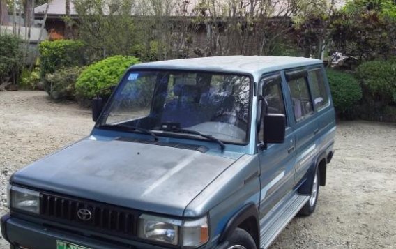 Blue Toyota Tamaraw 1998 for sale in Tagaytay City-9
